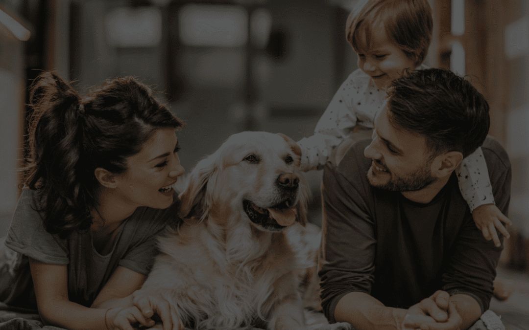 types of roseville home loans blog image