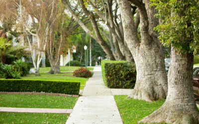 How Mortgage Rate Locks Work in Roseville